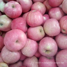 Haute qualité de pomme rouge Qinguan frais